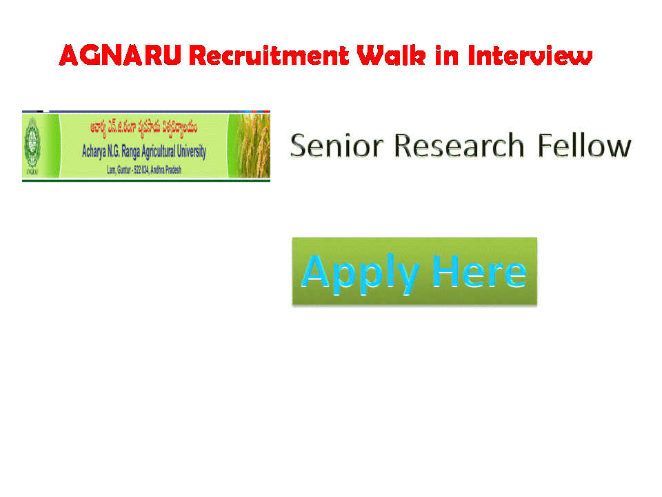 AGNRU Walk in Interview Acharya Ngranga Agricultural university Has recently recruitment notification for Agnaru recruitment 2021