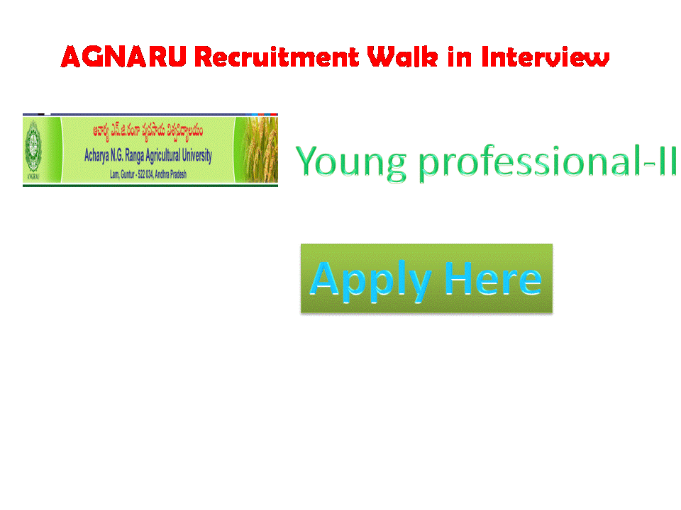 Acharya Ngranga Agricultural university Has recently recruitment notification for Agnaru recruitment 2021 for young professionals -II