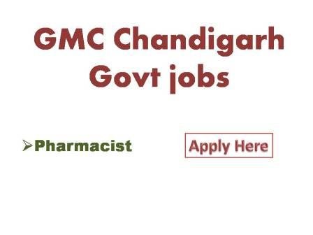 Jobs In Smartdata Chandigarh