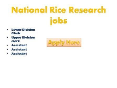 National Rice Research jobs 2022ICAR_National Rice Research Institute Filling up the vacant posts of LDC, UDC, Assistant,