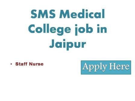 SMS Medical College job in Jaipur