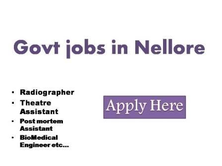 Govt jobs in Nellore