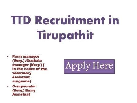 TTD Recruitment in Tirupathi