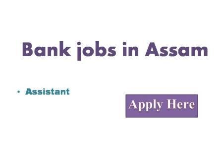 Bank jobs in Assam 2022 The Assam Co-operative Apex Bank Ltd. invites applications for recruitment for the post