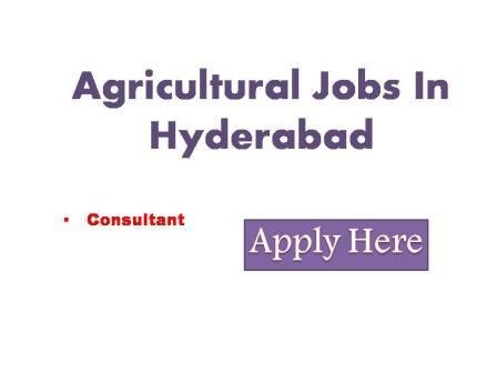 Agricultural Jobs In Hyderabad 2022 National Institute of Agricultural Extension Management (Manage) ( an autonomous