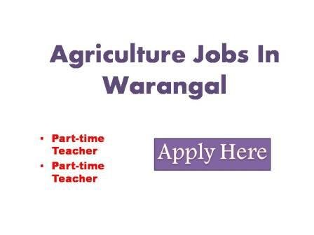 Agriculture Jobs In Warangal 2022 Walk in interview for the temporary post of part-time teaches at Agricultural college, Warangal