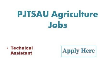 PJTSAU Agriculture Jobs 2022