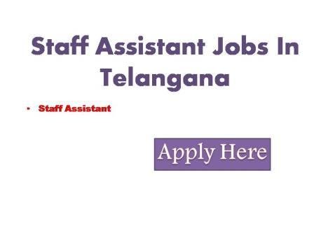 Staff Assistant Jobs In Telangana 2022