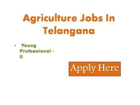 Agriculture Jobs In Telangana 2022 Applications are invited for selection to the post of Young Professional - II under