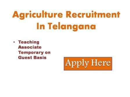 Agriculture Recruitment In Telangana 2022 Mahatma Jyothiba Pule Telangana B.C Welfare Residential Educational Institutional Institution