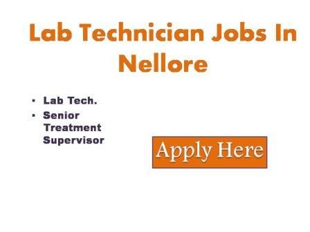 Lab Technician Jobs In Nellore 2023 As per the orders of the collector and district magistrate, Nellore, applications in the prescribed