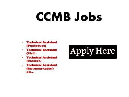 CCMB Jobs 2023