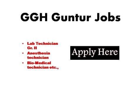 GGH Guntur Jobs 2023