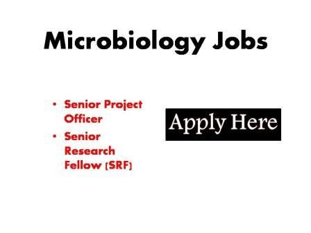 Microbiology Jobs 2023