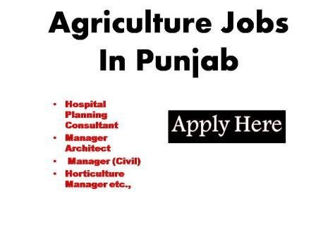 Agriculture Jobs In Punjab 2024