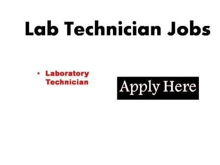 Lab Technician Jobs 2024