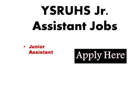 YSRUHS Jr Assistant Jobs 2024